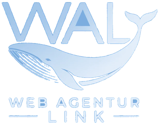 Web Agentur Link